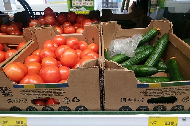 Цены на огурцы и помидоры прокомментировали в Плодоовощном союзе