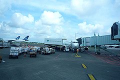 Самолет экстренно сел на Бали из-за австралийского дебошира