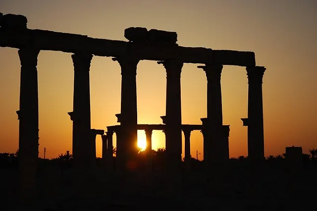 Для разминирования Пальмиры Россия пошлет собак и роботов