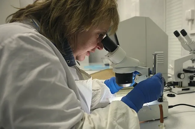 В области проверят на безопасность скотомогильники с сибирской язвой