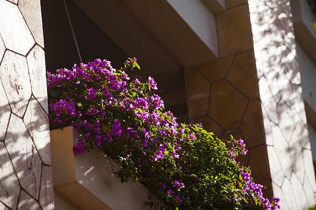 hh.ru составил для екатеринбуржцев ТОП-5 вакансий с переездом в теплый климат