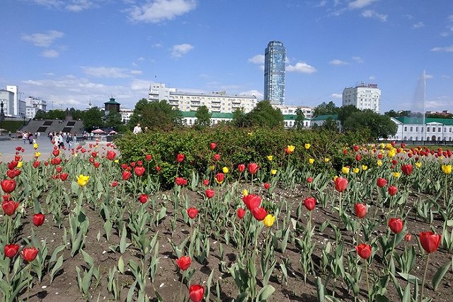 Жительница Екатеринбурга пожаловалась на «расхитительниц клумб»