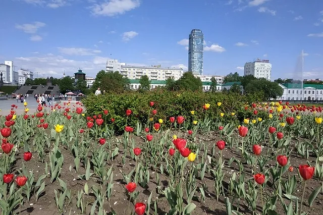 Жительница Екатеринбурга пожаловалась на «расхитительниц клумб»