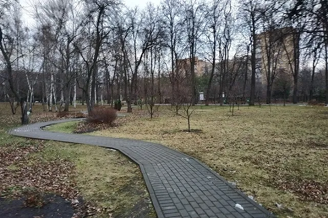 «Россию ждут жара и наводнения»: стране предрекли климатические катаклизмы