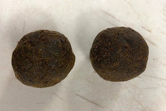 Пассажир из Индии забыл в аэропорту чемодан с навозом