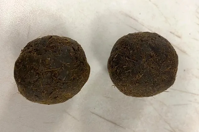 Пассажир из Индии забыл в аэропорту чемодан с навозом