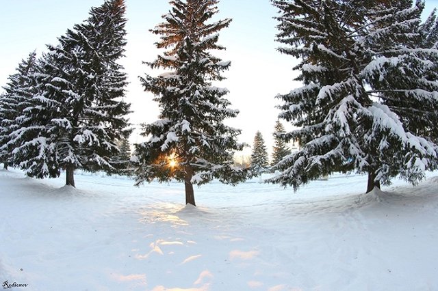 ЦПКиО Екатеринбурга объявил о наборе активных горожан в общественный совет парка