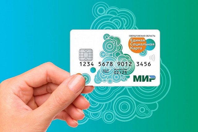 Разработчики Единой социальной карты создали для пользователей мобильное приложение
