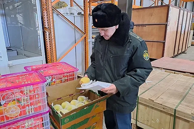 Личи и маракуйю впервые поставили на Урал