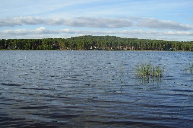 В Невьянске на пруду утонули отец и его шестилетняя дочь