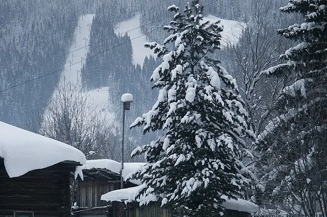 Прокурор потребовал посадить главного коммунальщика Белоярки на 10 лет