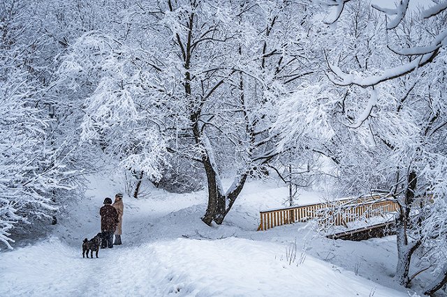 Участникам Международного дня танца придется выступать на морозе и в снег