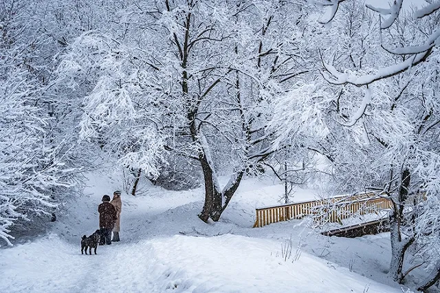 Участникам Международного дня танца придется выступать на морозе и в снег
