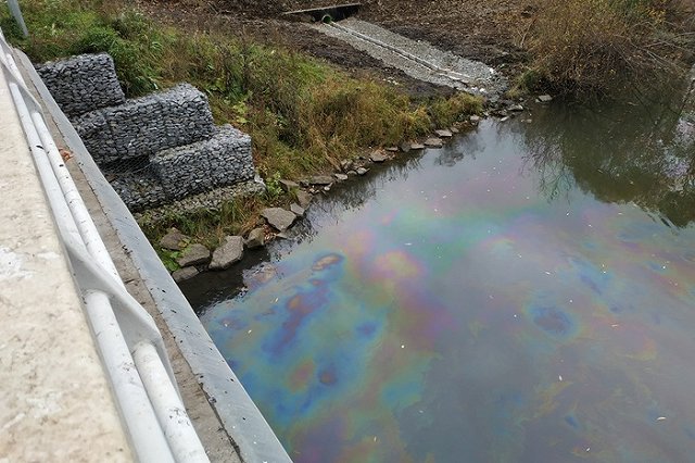 Неизвестные на Уктусе раскрасили Исеть в «цвета ЛГБТ»