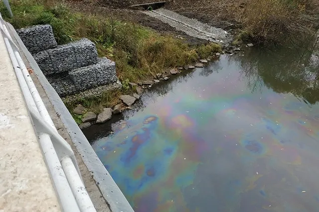 Неизвестные на Уктусе раскрасили Исеть в «цвета ЛГБТ»