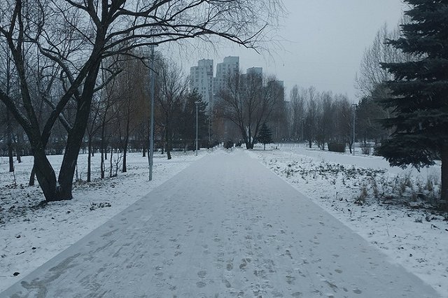 ГИБДД призывает водителей перейти на «зимний» стиль вождения