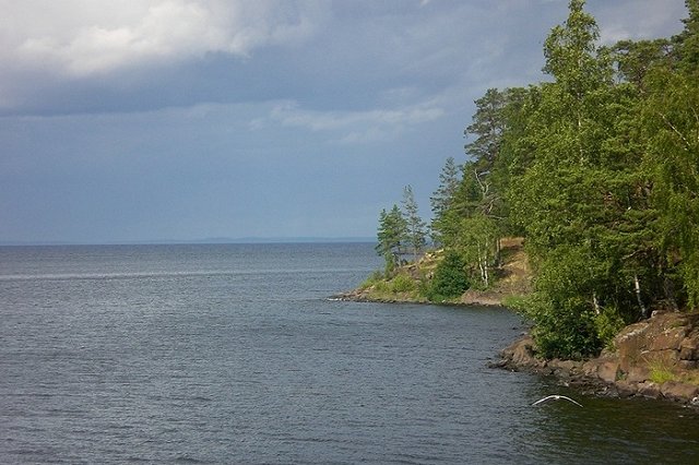 Операцию по спасению попавших в шторм школьников начали спустя 20 часов