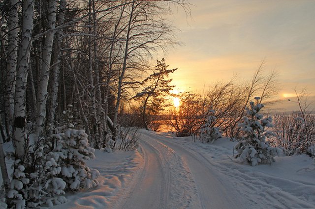 Заброшенные генеральские дачи Минобороны станут частью комплекса в Шарташском лесопарке
