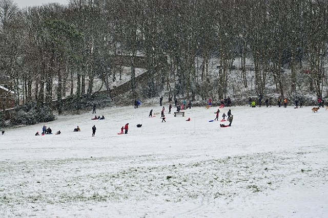 В Екатеринбурге ребёнок врезался в дерево, скатившись с горки