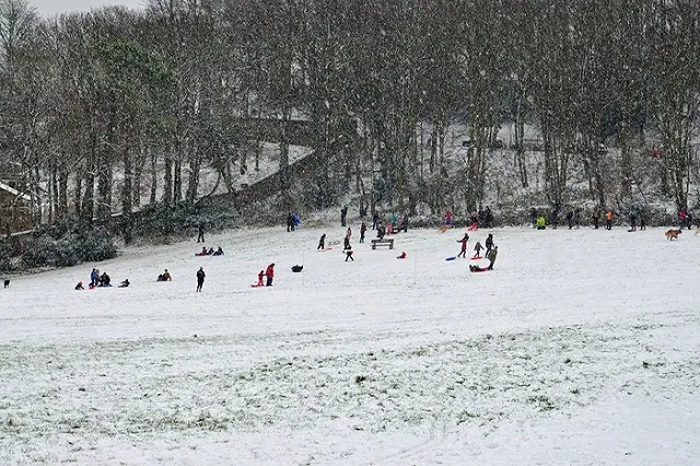 В Екатеринбурге ребёнок врезался в дерево, скатившись с горки