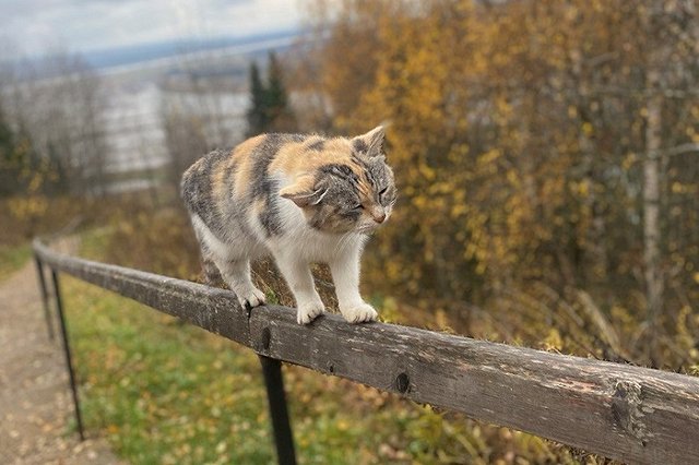 Синоптики рассказали, какой будет погода в сентябре в Свердловской области