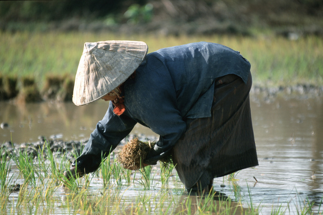 Китайский солдат защитился от лазерных винтовок с помощью риса