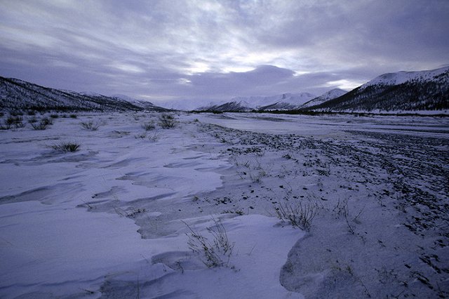 В Минобороны подтвердили, что все пассажиры и члены экипажа Ил-18 живы