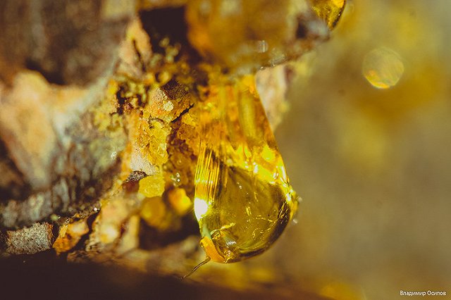 На Урал идет аномальная жара. МЧС выступило с предупреждением