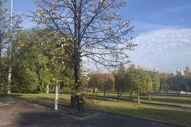 В Екатеринбурге от клещей обработают все парки и скверы, но ходить туда всё равно нельзя