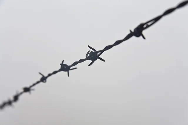 Сотрудница ГУ ФСИН, расстрелявшая деверя из автомата, сядет на 9 лет