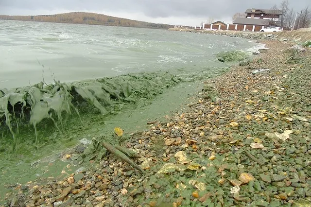 В Нижнем Тагиле к 2025 году построят очистные сооружения за 31 млрд руб