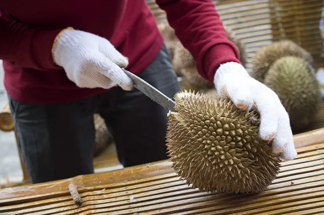 Ученые назвали самые отвратительные в мире запахи