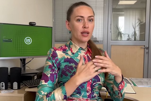 МВД: Замглавы Херсонской области Губарева задержана по подозрению в экономическом преступлении