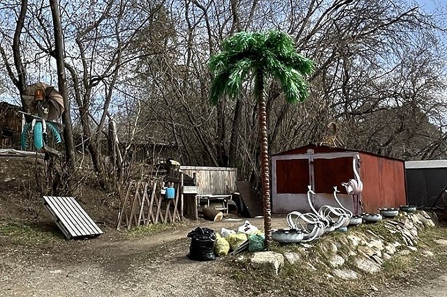 Дачники начнут получать штрафы за растения из списка уже в начале лета