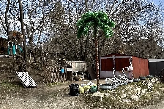 Дачники начнут получать штрафы за растения из списка уже в начале лета