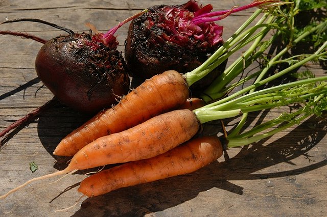 Свердловский минсельхоз: несмотря на погоду, урожай будет лучше, чем в в 2016-м