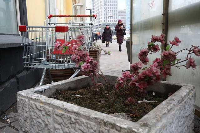 Двор дома в Челябинске за ночь стал кладбищем (ФОТО)