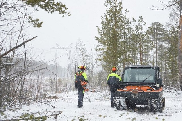 Россети расширили просеки 16 магистральных линий электропередачи Урала. Проводам ничего не угрожает