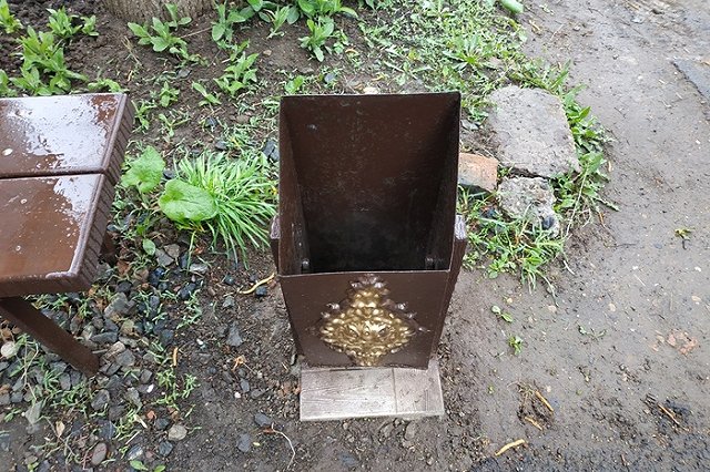 Кинолог напомнил владельцам собак об обязанности убирать за ними на прогулке