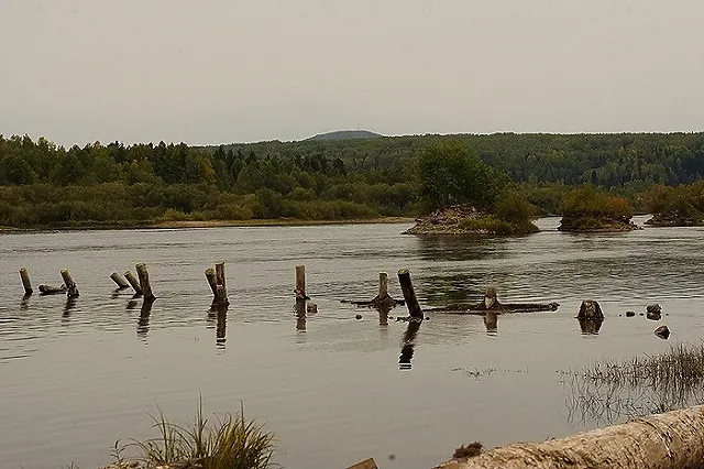 «Запутались в сетях». Четыре рыбака найдены мертвыми в Пермском крае