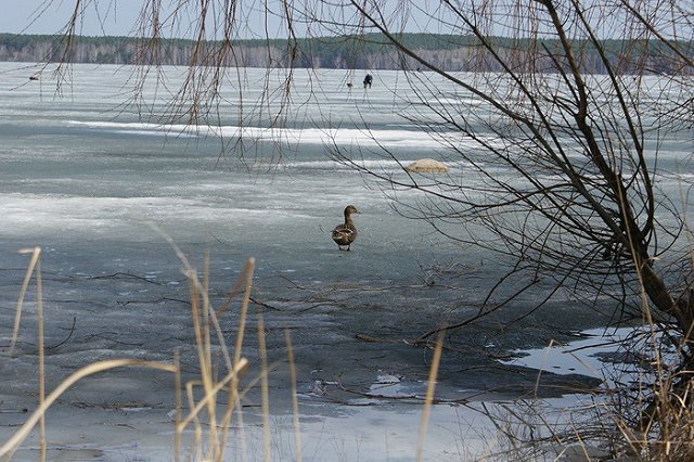 В Свердловской области пропало без вести несколько рыбаков