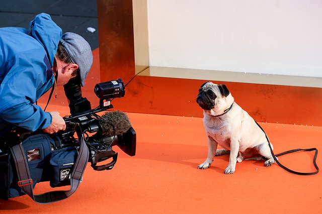 IMAX-премьера фильма «Kingsman: золотое кольцо» пройдет в кинотеатре Синема Парк