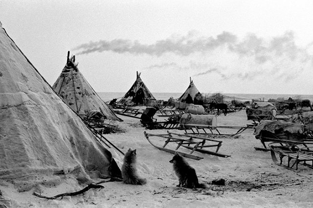 Памфилова предложила вместе с урнами завезти в малодоступные районы лекарства