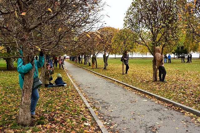 Екатеринбуржцы вновь устроят «обнимашки» с деревьями