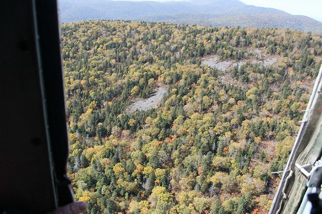Останки членов экипажа найдены на месте крушения Ан-26 под Хабаровском