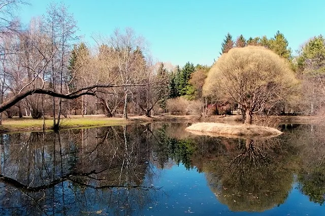 Uralweb объявляет новый фотоконкурс «Солнышко весеннее»!