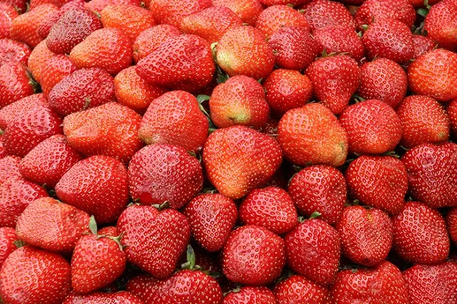 10 продуктов для счастья