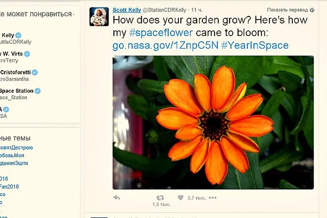 На МКС впервые в истории распустился цветок