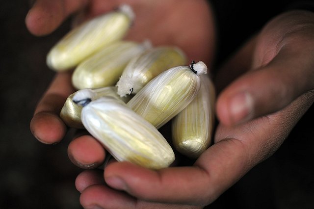 Оперативники УФСБ области изъяли «героиновые» одеяла