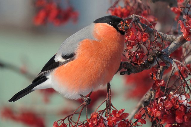 Погрелись на солнышке — и хватит: в выходные в Екатеринбурге похолодает